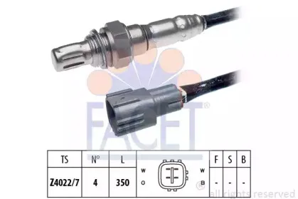 facet-107898