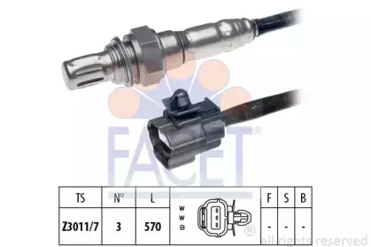 facet-107912