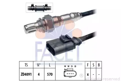 facet-107931