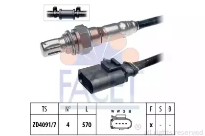 facet-107932