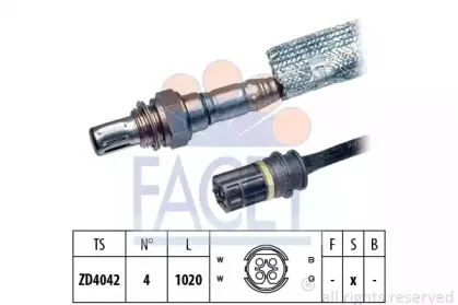 facet-107957