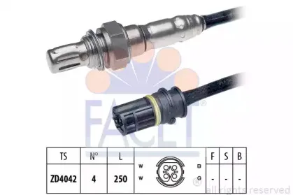 facet-107958