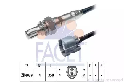 facet-107995