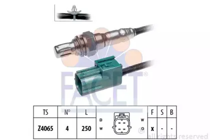 facet-108004