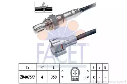 facet-108091