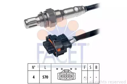 facet-108168