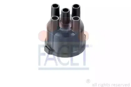 facet-28181