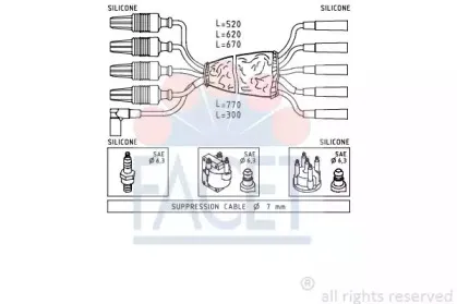 facet-48499