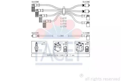 facet-48815
