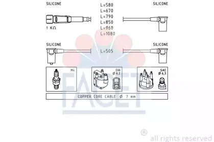 facet-49323