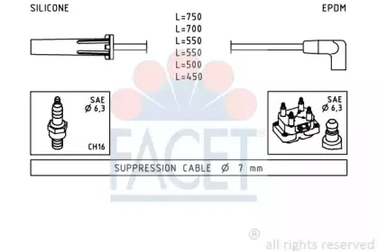 facet-49343