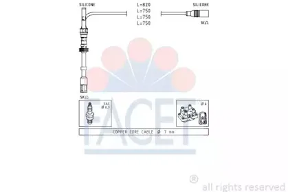 facet-49489