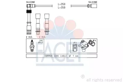 facet-49491