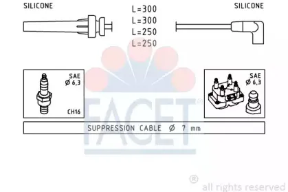 facet-49508