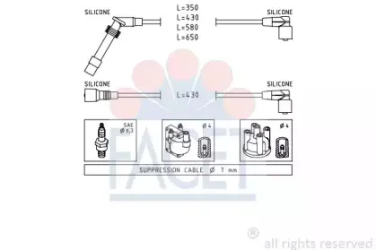 facet-49529