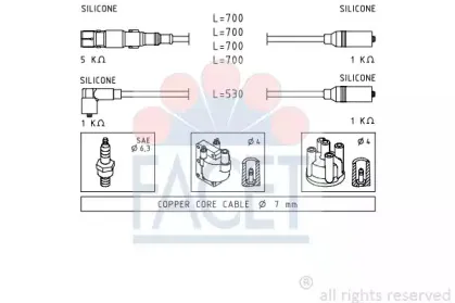 facet-49551