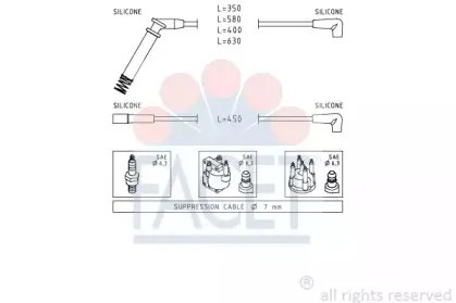 facet-49563