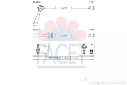 facet-49841