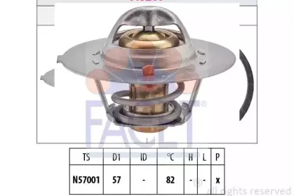 facet-78209s