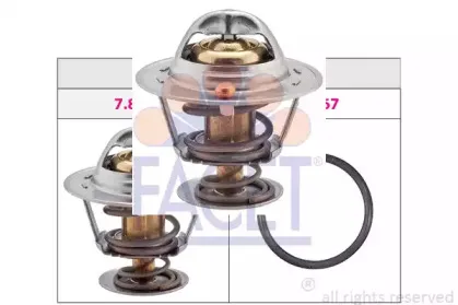 facet-78289s