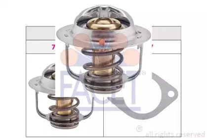 facet-78305s
