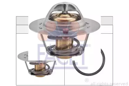 facet-78355s