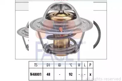 facet-78376s