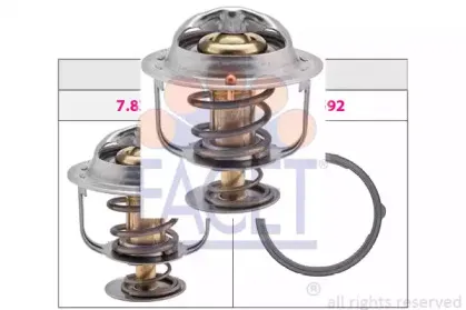 facet-78383s