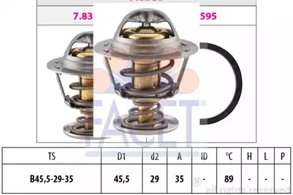 facet-78389s