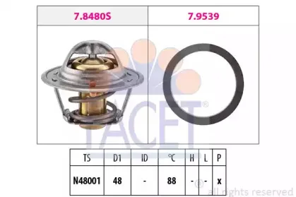 facet-78480
