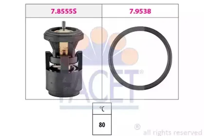 facet-78555
