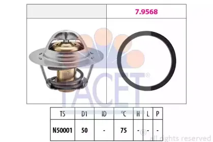 facet-78721