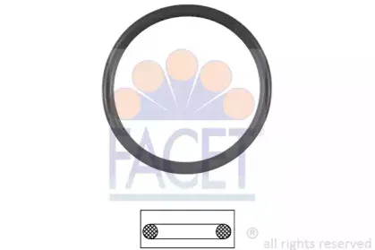 7.9538 FACET