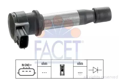 9.6284 FACET