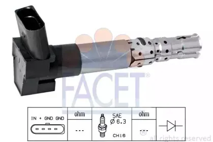 9.6337 FACET