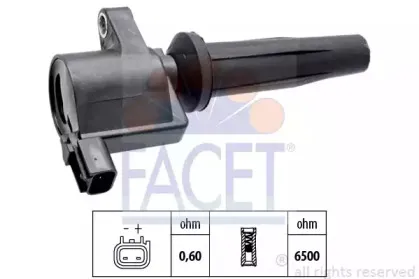 9.6380 FACET