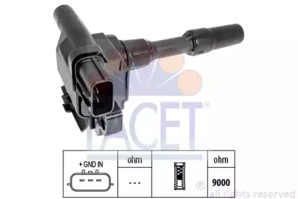 facet-96491