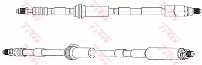PHA597 TRW