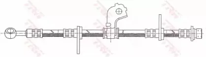 trw-phd317