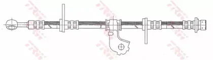 trw-phd317