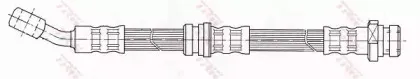 trw-phd613