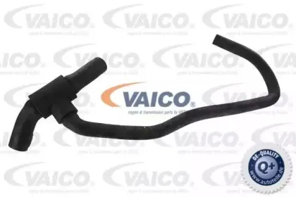 V10-0025 VAICO Шланг радиатора