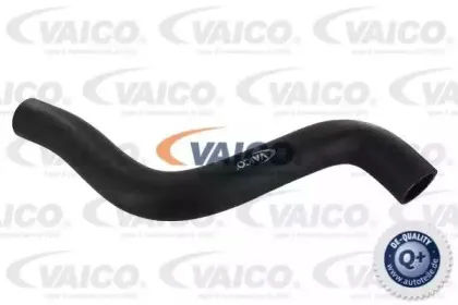 V10-0060 VAICO Шланг радиатора
