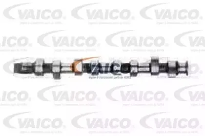 vaico-v100191
