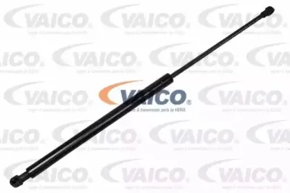 vaico-v100244