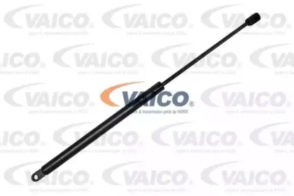 vaico-v100246