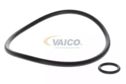 vaico-v100331