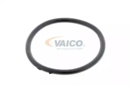 vaico-v100374