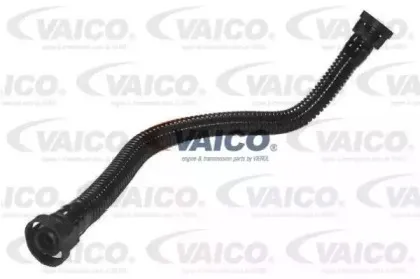 V10-0737 VAICO Шланг, вентиляция картера