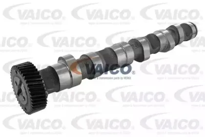V10-0868 VAICO
